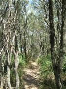 Trail, Warden Head